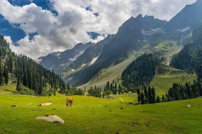 Kashmir Tour 5 Nights 6 Days Package