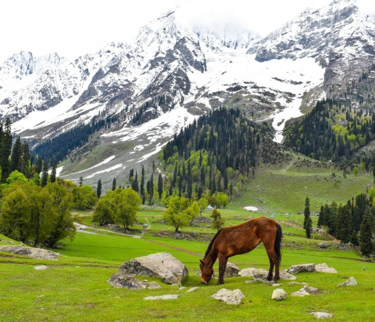 Honeymoon 6 Nights 7 Days Package